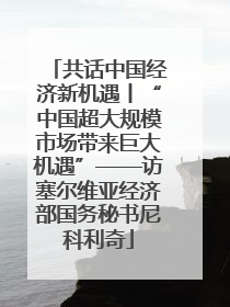 共话中国经济新机遇丨“中国超大规模市场带来巨大机遇”——访塞尔维亚经济部国务秘书尼科利奇