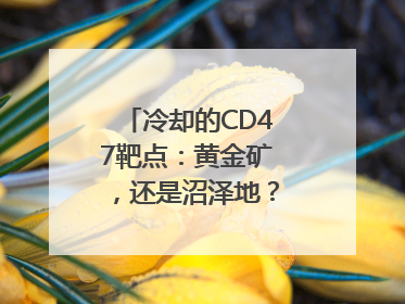 冷却的CD47靶点：黄金矿，还是沼泽地？｜海斌访谈