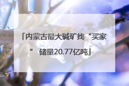 内蒙古最大碱矿找“买家” 储量20.77亿吨