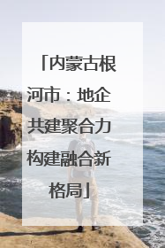 内蒙古根河市：地企共建聚合力构建融合新格局