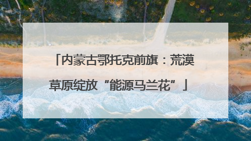 内蒙古鄂托克前旗：荒漠草原绽放“能源马兰花”