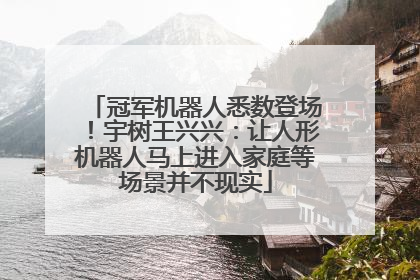 冠军机器人悉数登场！宇树王兴兴：让人形机器人马上进入家庭等场景并不现实