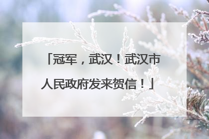 冠军，武汉！武汉市人民政府发来贺信！