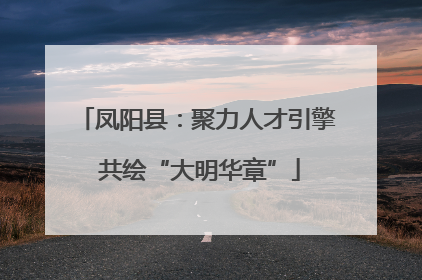 凤阳县：聚力人才引擎 共绘“大明华章”
