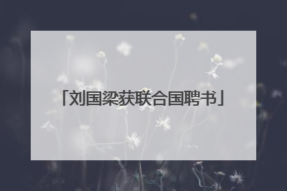 刘国梁获联合国聘书