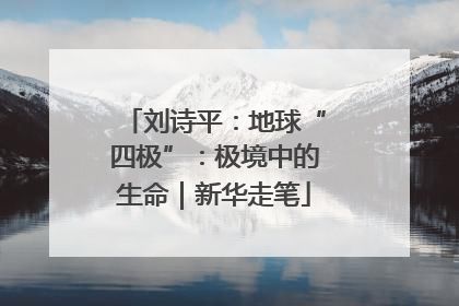 刘诗平：地球“四极”：极境中的生命｜新华走笔