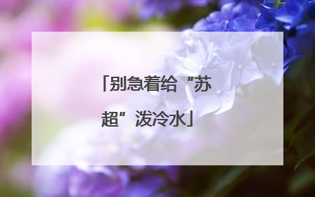 别急着给“苏超”泼冷水
