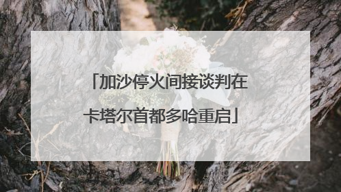 加沙停火间接谈判在卡塔尔首都多哈重启