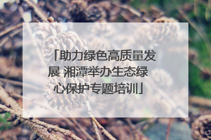 助力绿色高质量发展 湘潭举办生态绿心保护专题培训