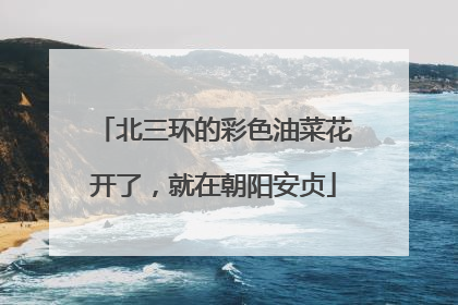 北三环的彩色油菜花开了，就在朝阳安贞