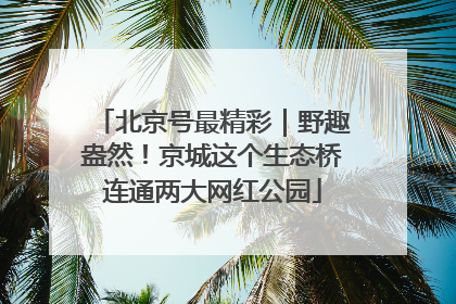 北京号最精彩｜野趣盎然！京城这个生态桥连通两大网红公园
