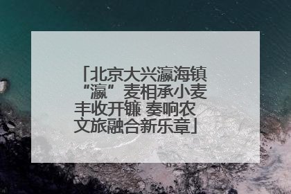 北京大兴瀛海镇“瀛”麦相承小麦丰收开镰 奏响农文旅融合新乐章