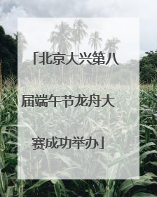 北京大兴第八届端午节龙舟大赛成功举办