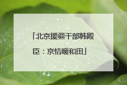 北京援疆干部韩殿臣：京情暖和田