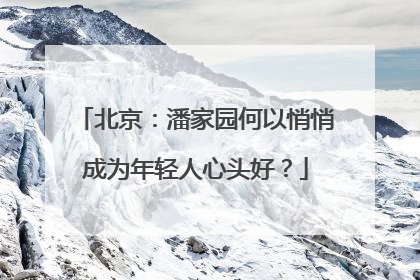 北京：潘家园何以悄悄成为年轻人心头好？