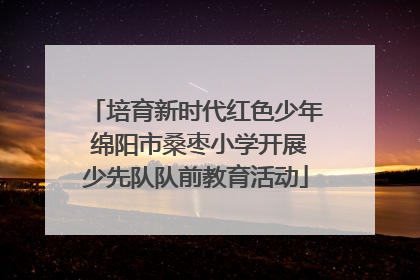 培育新时代红色少年 绵阳市桑枣小学开展少先队队前教育活动