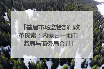 基层市场监管部门改革探索：内蒙古一地市监局与商务局合并
