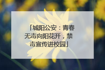 城阳公安：青春无毒向阳花开，禁毒宣传进校园