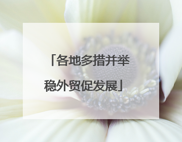 各地多措并举稳外贸促发展