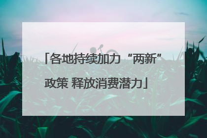 各地持续加力“两新”政策 释放消费潜力