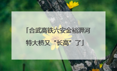 合武高铁六安金裕淠河特大桥又“长高”了