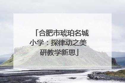 合肥市琥珀名城小学：探律动之美 研教学新思