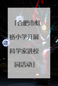 合肥市虹桥小学开展科学家进校园活动