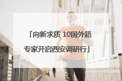 向新求质 10国外籍专家开启西安调研行