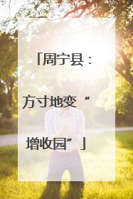 周宁县：方寸地变“增收园”