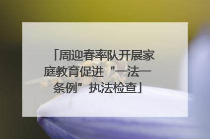 周迎春率队开展家庭教育促进“一法一条例”执法检查