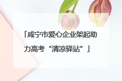 咸宁市爱心企业架起助力高考“清凉驿站”