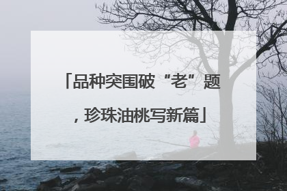 品种突围破“老”题，珍珠油桃写新篇