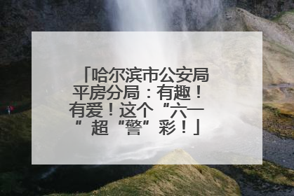 哈尔滨市公安局平房分局：有趣！有爱！这个“六一”超“警”彩！