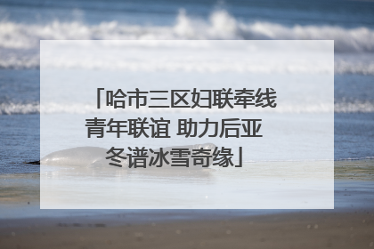 哈市三区妇联牵线青年联谊 助力后亚冬谱冰雪奇缘