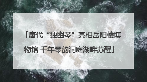 唐代“独幽琴”亮相岳阳楼博物馆 千年琴韵洞庭湖畔苏醒