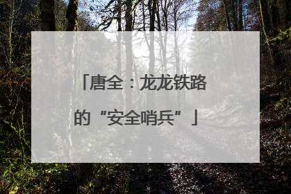 唐全：龙龙铁路的“安全哨兵”