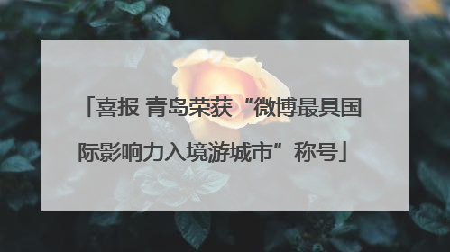 喜报 青岛荣获“微博最具国际影响力入境游城市”称号