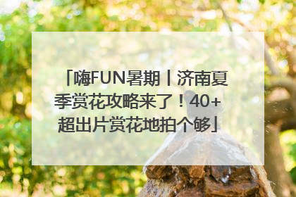 嗨FUN暑期丨济南夏季赏花攻略来了！40+超出片赏花地拍个够
