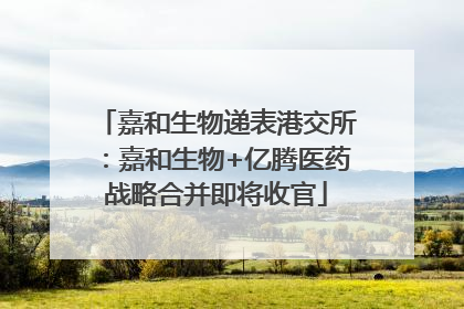 嘉和生物递表港交所：嘉和生物+亿腾医药战略合并即将收官
