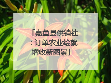 嘉鱼县供销社：订单农业绘就增收新图景