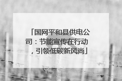 国网平和县供电公司：节能宣传在行动，引领低碳新风尚