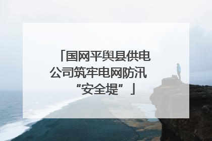 国网平舆县供电公司筑牢电网防汛“安全堤”