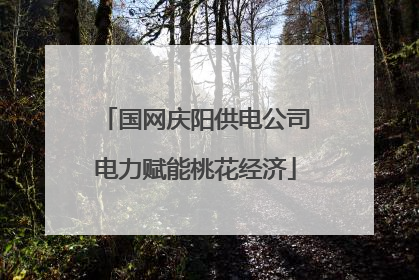 国网庆阳供电公司电力赋能桃花经济