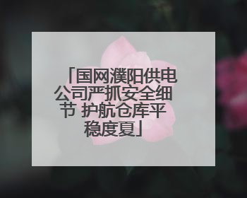 国网濮阳供电公司严抓安全细节 护航仓库平稳度夏