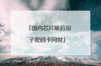 国内芯片级后量子密码卡问世