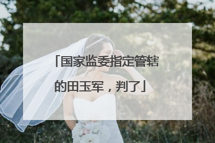 国家监委指定管辖的田玉军，判了