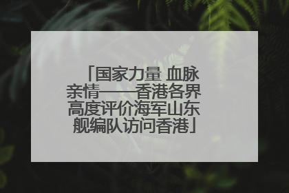 国家力量 血脉亲情——香港各界高度评价海军山东舰编队访问香港