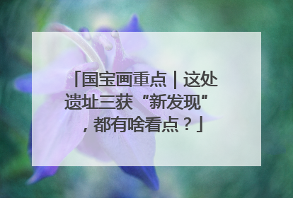 国宝画重点｜这处遗址三获“新发现”，都有啥看点？