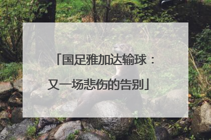 国足雅加达输球：又一场悲伤的告别