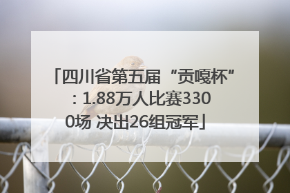 四川省第五届“贡嘎杯”：1.88万人比赛3300场 决出26组冠军